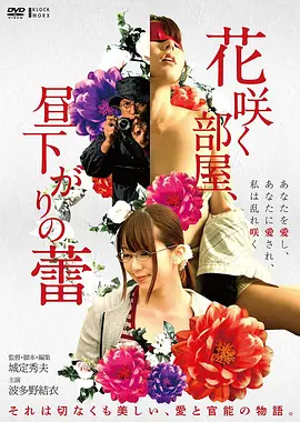 荒原回声海报